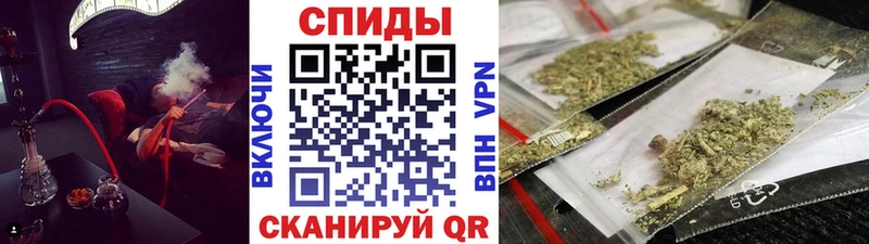 KRAKEN Называевск Бутират BDO
