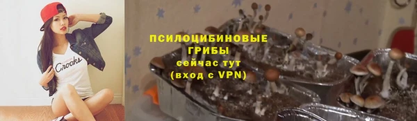 гидропоника Кулебаки