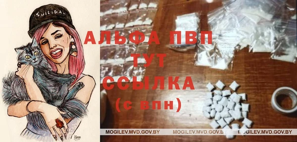 дмт Кстово