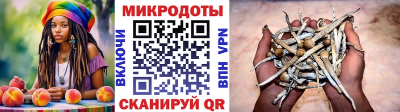 где найти   Называевск  Псилоцибиновые грибы Magic Shrooms 